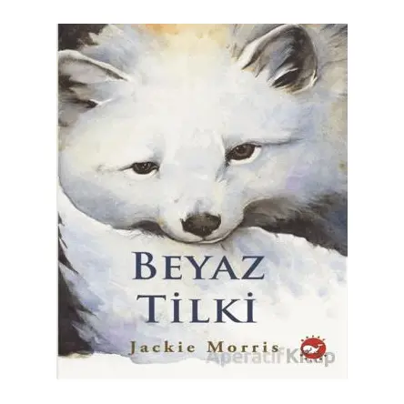 Beyaz Tilki - Jackie Morris - Beyaz Balina Yayınları