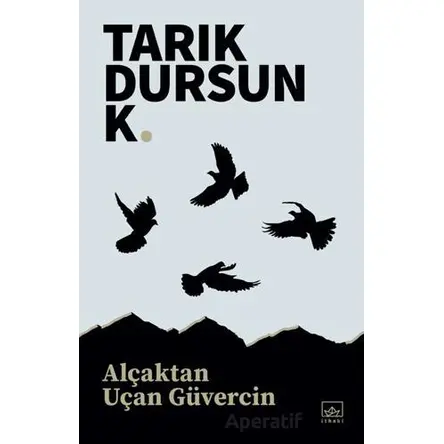 Alçaktan Uçan Güvercin - Tarık Dursun K. - İthaki Yayınları