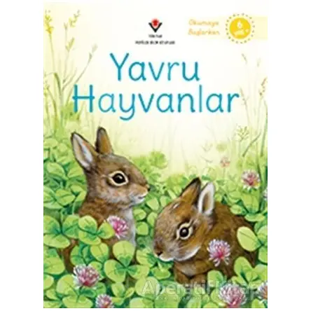 Yavru Hayvanlar - Okumaya Başlarken - Emily Bone - TÜBİTAK Yayınları