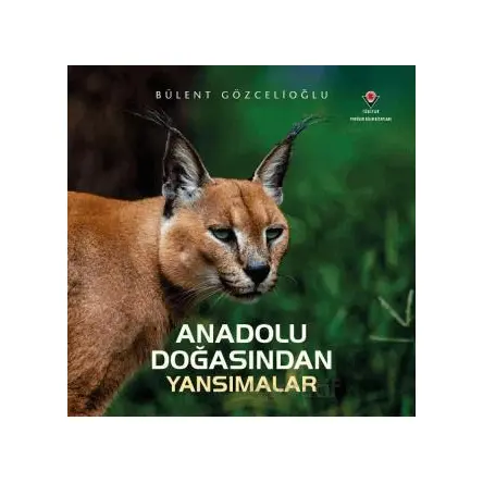Anadolu Doğasından Yansımalar - Bülent Gözcelioğlu - TÜBİTAK Yayınları