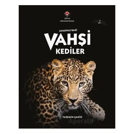 Anadoludaki Vahşi Kediler - Yasemin Şahin - TÜBİTAK Yayınları