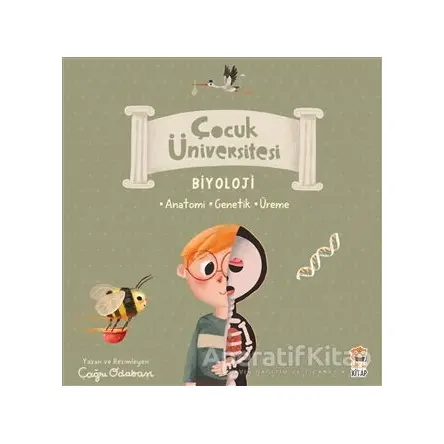 Çocuk Üniversitesi Biyoloji Set (3 Kitap) - Çağrı Odabaşı - Sincap Kitap