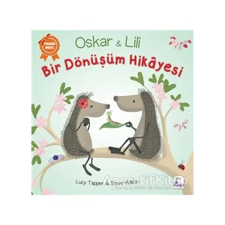 Oskar ve Lili - Bir Dönüşüm Hikayesi - Steve Wilson - İndigo Çocuk