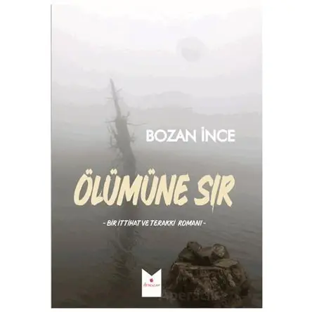 Ölümüne Sır - Bozan İnce - Serencam Yayınevi