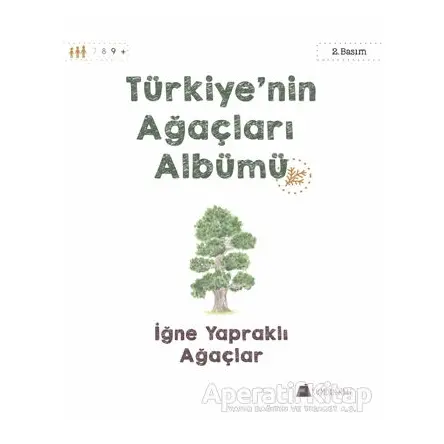 Türkiyenin Ağaçları Albümü - İğne Yapraklı Ağaçlar - Işıl Erverdi - Kumdan Kale