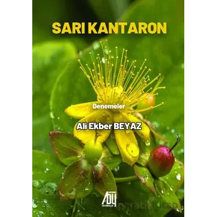 Sarı Kantaron - Ali Ekber Beyaz - Baygenç Yayıncılık