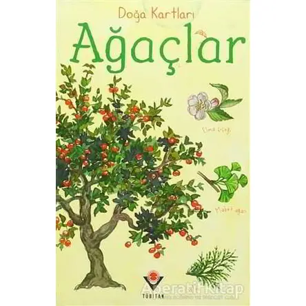Doğa Kartları - Ağaçlar - Emily Bon - TÜBİTAK Yayınları