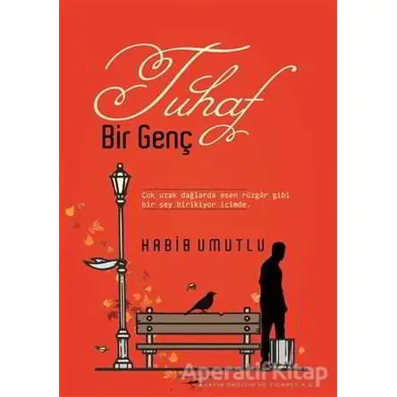 Tuhaf Bir Genç - Habib Umutlu - Sokak Kitapları Yayınları