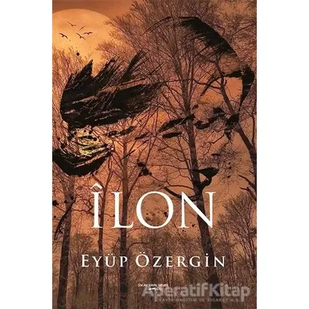 İlon - Eyüp Özergin - Sokak Kitapları Yayınları