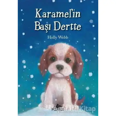 Karamel’in Başı Dertte - Holly Webb - Pegasus Çocuk Yayınları