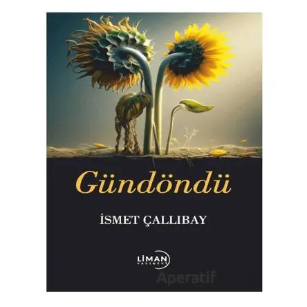 Gündöndü - İsmet Çallıbay - Liman Yayınevi