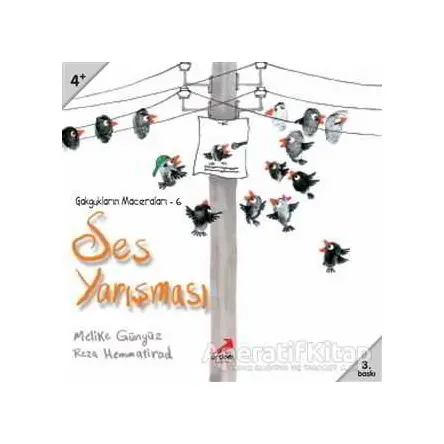 Ses Yarışması - Reza Hemmatirad - Erdem Çocuk