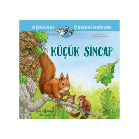 Küçük Sincap Dünyayı Öğreniyorum - Sabine Choinski - İş Bankası Kültür Yayınları