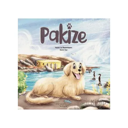 Pakize - Betül İlter - Paraşüt Kitap