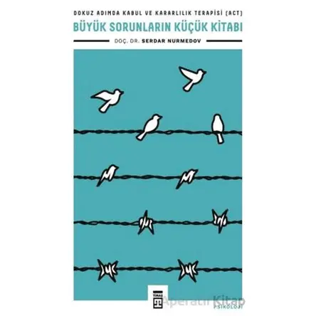 Büyük Sorunların Küçük Kitabı - Serdar Nurmedov - Timaş Yayınları