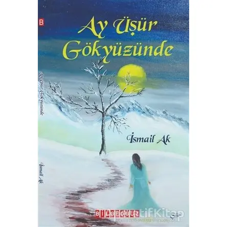 Ay Üşür Gökyüzünde - İsmail Ak - Bilgeoğuz Yayınları