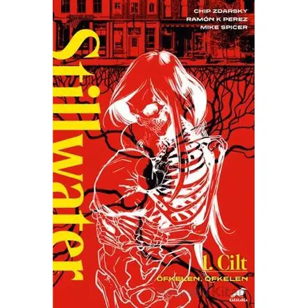 Stillwater 1 - Chip Zdarsky - Kara Karga Yayınları