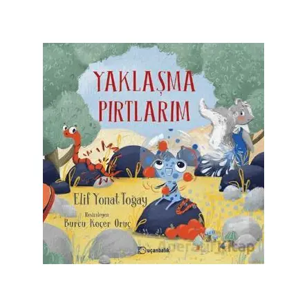 Yaklaşma Pırtlarım - Elif Yonat Toğay - Uçanbalık Yayıncılık