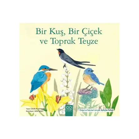 Bir Kuş, Bir Çiçek ve Toprak Teyze - Cecile Roumiguiere - 1001 Çiçek Kitaplar