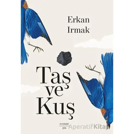 Taş ve Kuş - Erkan Irmak - Everest Yayınları