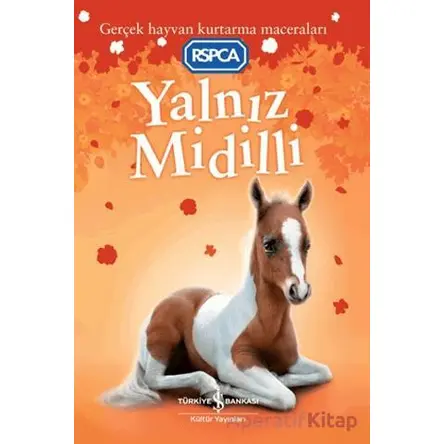 Yalnız Midilli - Sarah Hawkins - İş Bankası Kültür Yayınları