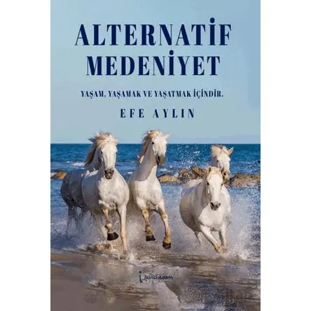 Alternatif Medeniyet - Efe Aylın - İkinci Adam Yayınları