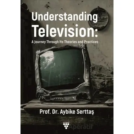 Understanding Television: A Journey Through its Theories and Practices