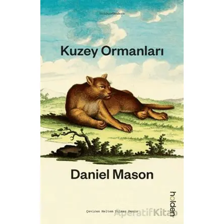 Kuzey Ormanları - Daniel Mason - Holden Kitap