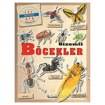 Gizemleri Öğrenelim - Gizemli Böcekler - Kathryn Senior - Teleskop Popüler Bilim