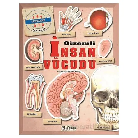 Gizemleri Öğrenelim - Gizemli İnsan Vücudu - Kathryn Senior - Teleskop Popüler Bilim
