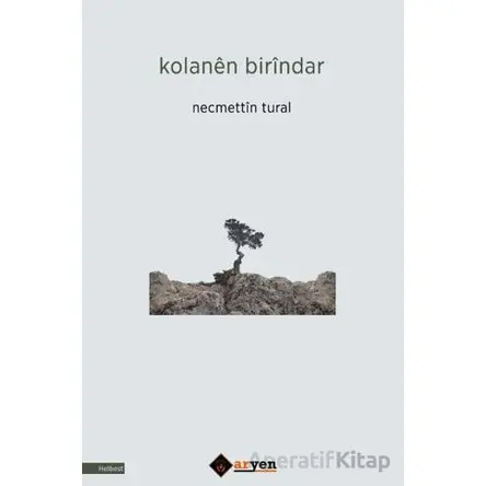 Kolanen Birindar - Necmettin Tural - Aryen Yayınları