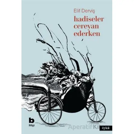 Hadiseler Cereyan Ederken - Elif Derviş - Bilgi Yayınevi
