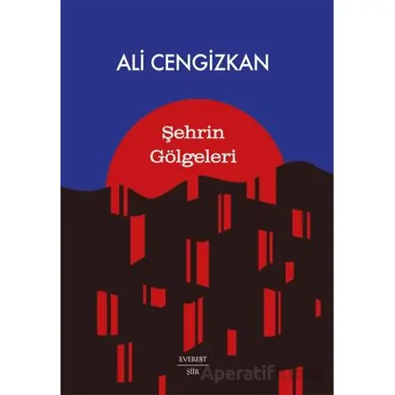 Şehrin Gölgeleri - Ali Cengizkan - Everest Yayınları