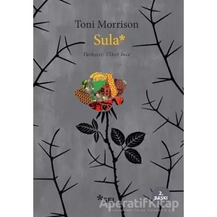Sula - Toni Morrison - Sel Yayıncılık