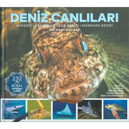 Deniz Canlıları İstanbul Akvaryum