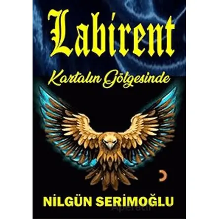 Labirent - Nilgün Serimoğlu - Cinius Yayınları