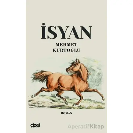 İsyan - Mehmet Kurtoğlu - Çizgi Kitabevi Yayınları
