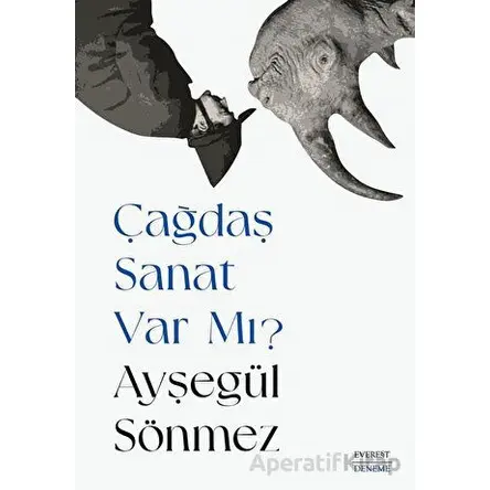 Çağdaş Sanat Var Mı? - Ayşegül Sönmez - Everest Yayınları