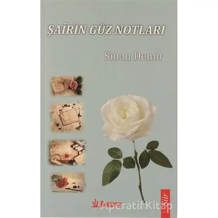 Şairin Güz Notları - Sinan Demir - Dramatik Yayınları