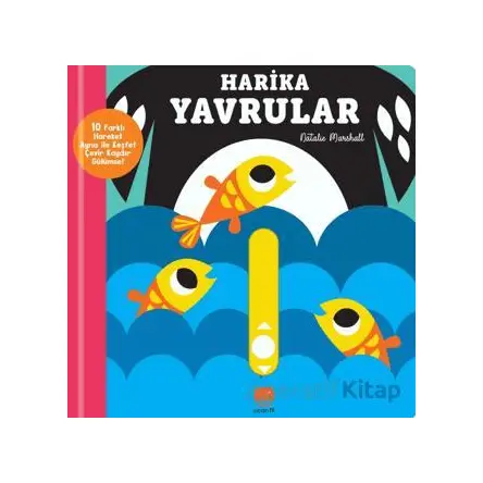 Kaydır ve Gülümse Harika Yavrular - Natalie Marshall - Uçan Fil Yayınları