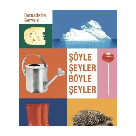 Şöyle Şeyler Böyle Şeyler - Bernadette Gervais - Hep Kitap