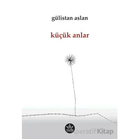 Küçük Anlar - Gülistan Aslan - Elpis Yayınları