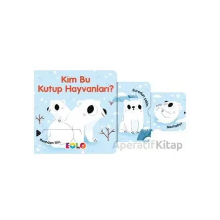 Kim Bu Kutup Hayvanları? - Kolektif - Eolo Yayıncılık