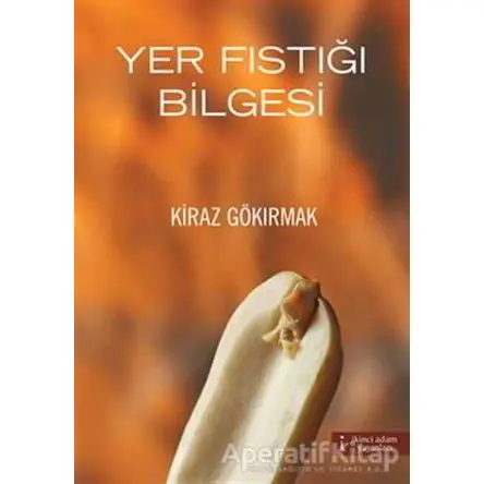 Yer Fıstığı Bilgesi - Kiraz Gökırmak - İkinci Adam Yayınları