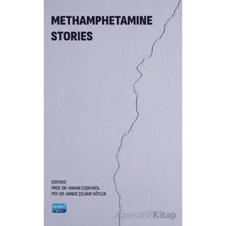 Methamphetamine Stories - Hande Çelikay Söyler - Nobel Akademik Yayıncılık