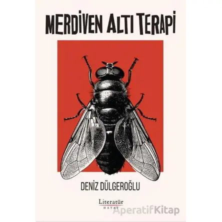 Merdiven Altı Terapi - Deniz Dülgeroğlu - Literatür Hayat