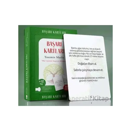 Başarı Kartları - Yasemin Mutlu - Sokak Kitapları Yayınları