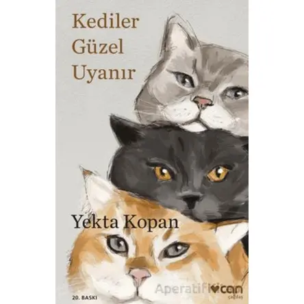 Kediler Güzel Uyanır - Yekta Kopan - Can Yayınları