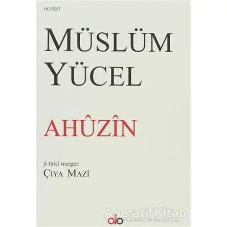 Ahuzin - Müslüm Yücel - Do Yayınları