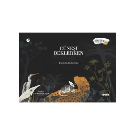 Güneşi Beklerken - Fabiola Anchorena - Nobel Çocuk